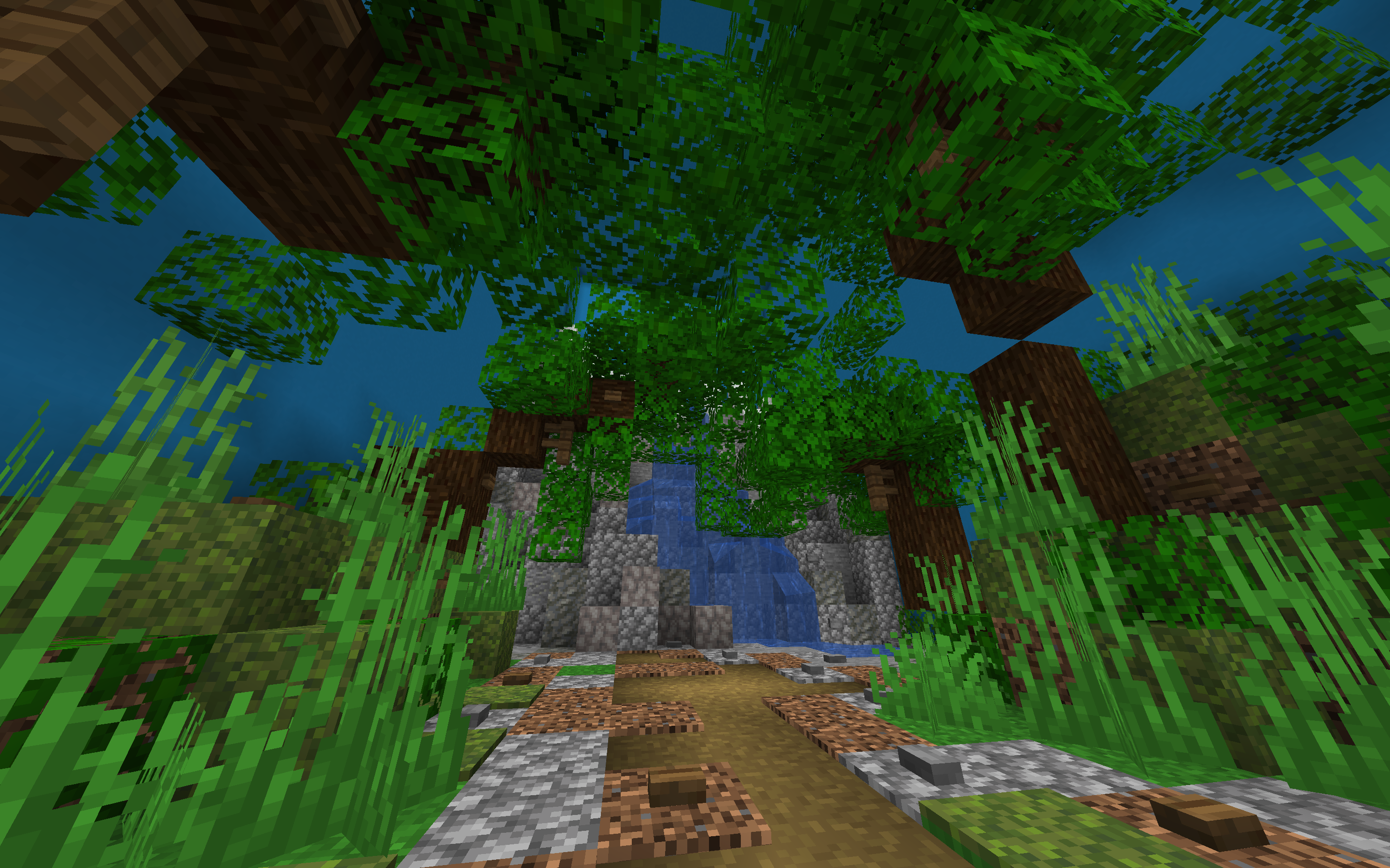 Rainforest 3.png
